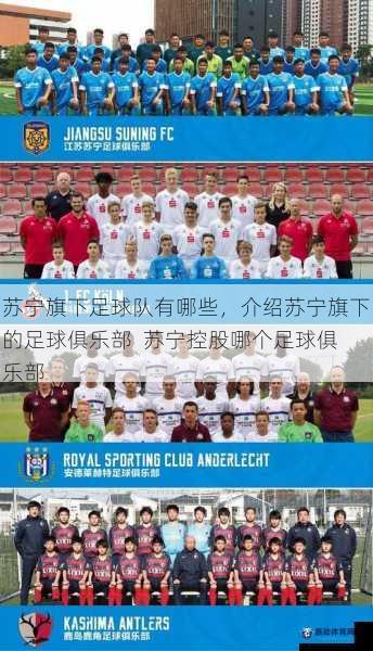 苏宁旗下足球队有哪些，介绍苏宁旗下的足球俱乐部  苏宁控股哪个足球俱乐部