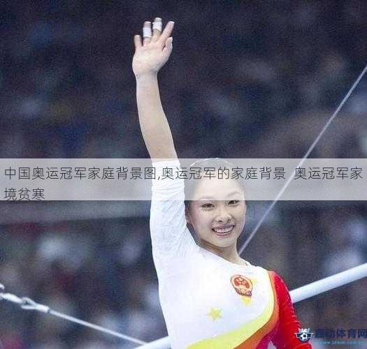 中国奥运冠军家庭背景图,奥运冠军的家庭背景  奥运冠军家境贫寒