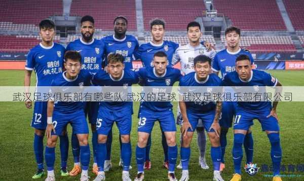 武汉足球俱乐部有哪些队,武汉的足球  武汉足球俱乐部有限公司