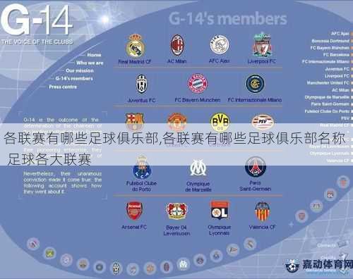 各联赛有哪些足球俱乐部,各联赛有哪些足球俱乐部名称  足球各大联赛