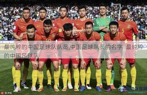 最纯粹的中国足球队队员,中国足球队员的名字  最纯粹的中国足球队