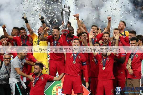 2016年欧洲杯(葡萄牙如何从小组第3晋级称王)