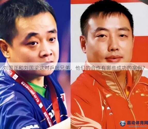 刘国正和刘国梁这对乒坛兄弟，他们的合作有哪些成功的案例？